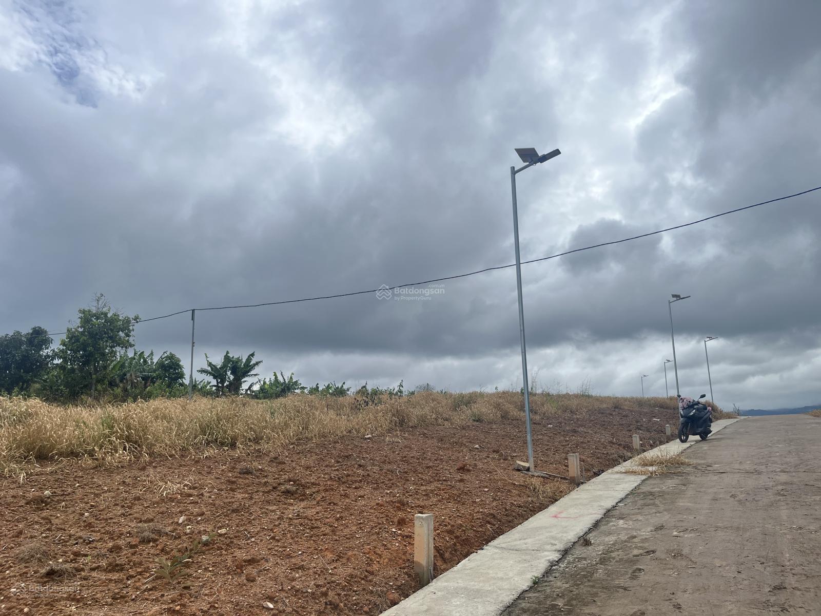Gia Lâm ven Đà Lạt Lô góc 2 mặt tiền siêu đẹp! View ôm quanh là đồi thông Gia Lâm ven Đà Lạt Lô góc 2 mặt tiền siêu đẹp! View ôm quanh là đồi thông