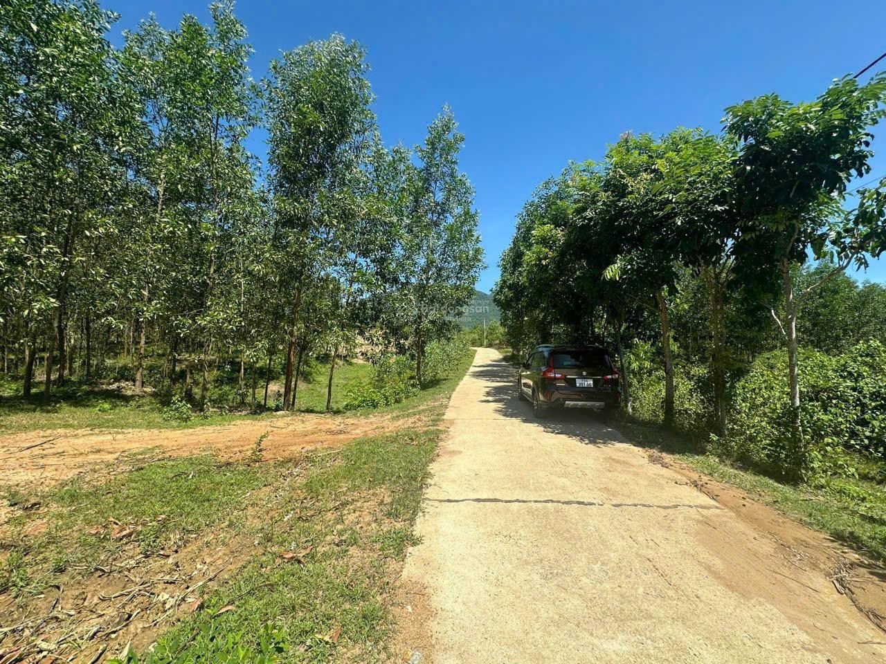 Bán đất vườn Xã Khánh Trung, Khánh Vĩnh, Khánh Hòa, 360 triệu, 1000 m2