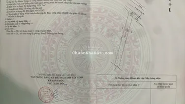 Chủ kẹt tiền bán đất cao su thấp hơn thị trường 20% Bến Cầu, Tây Ninh
