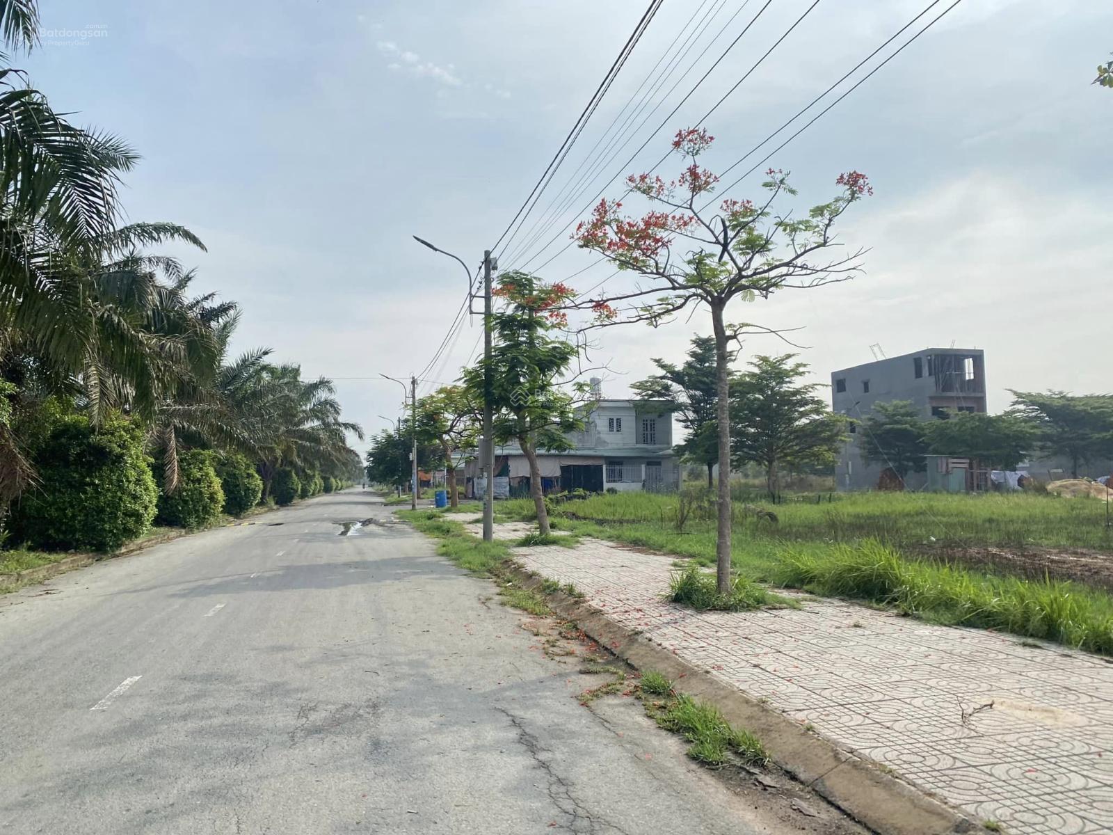 Ngộp nên không thương lượng. Đất đường Trương Văn Bang, Cần Giuộc 80m², 870 Triệu. LH 0843 378 ***