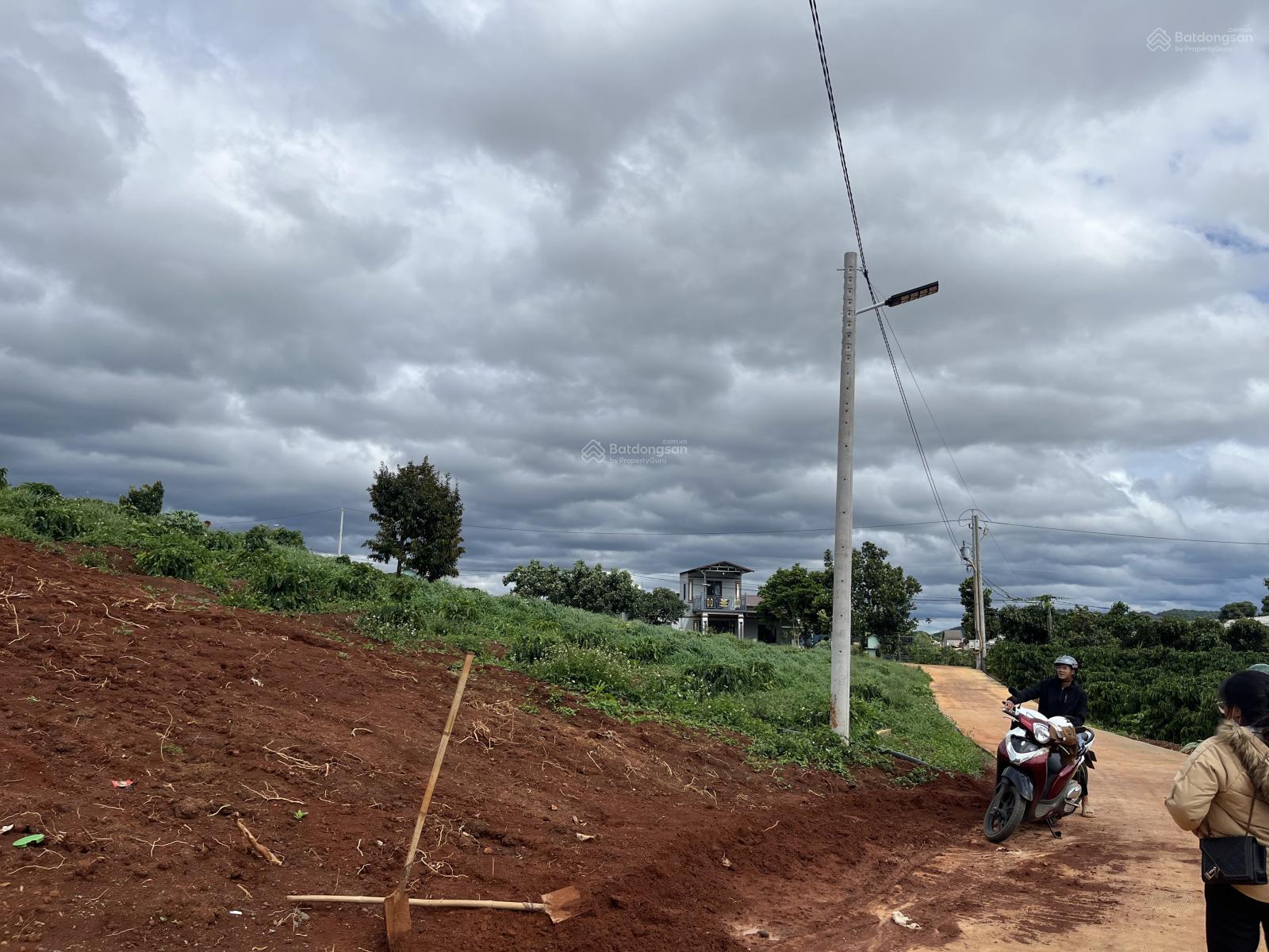 Bán lô đất view đồi thông siêu thoáng, cách trung tâm Đà Lạt chỉ 20km