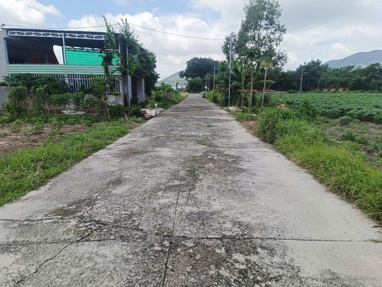 "Cơ hội vàng đầu tư tại Tóc Tiên, Phú Mỹ! Bán gấp lô đất 10x50