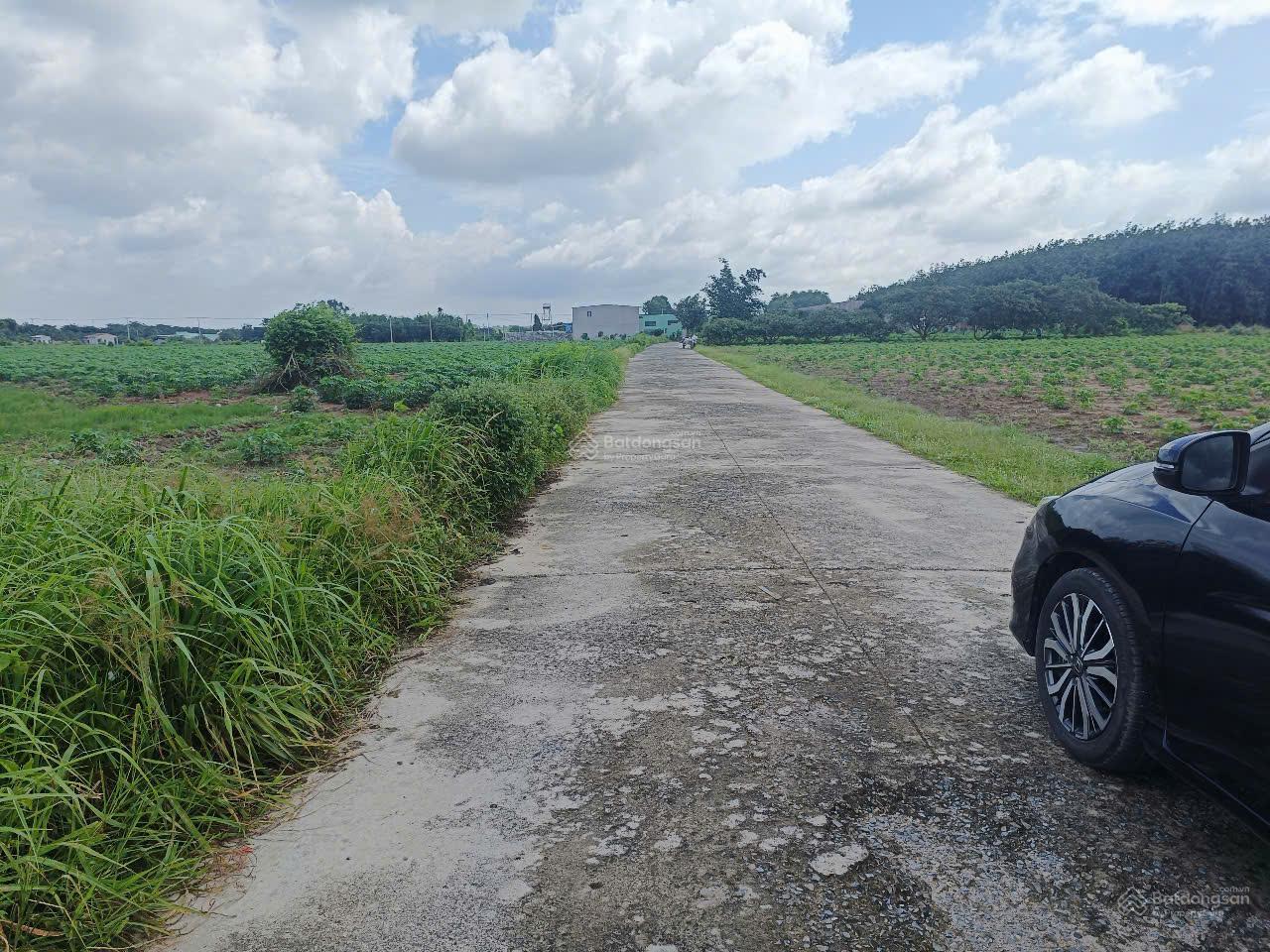 "Cơ hội vàng đầu tư tại Tóc Tiên, Phú Mỹ! Bán gấp lô đất 10x50
