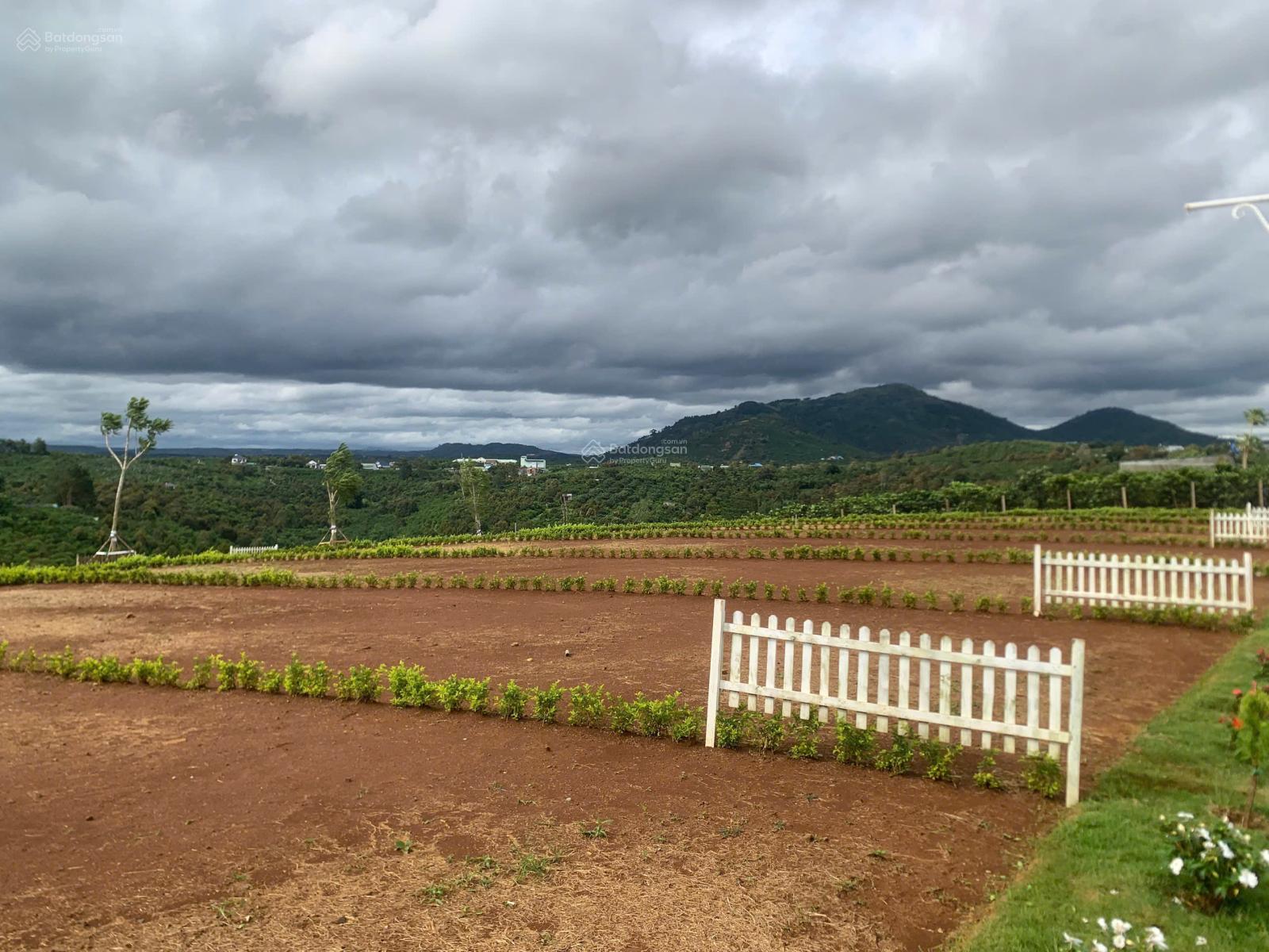 Bán đất tại Di Linh, Lâm Đồng, giá tốt 699 triệu, 150m2 Bán đất tại Di Linh, Lâm Đồng, giá tốt 699 triệu, 150m2