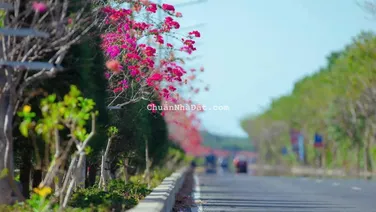 Bán đất siêu hot tại Đường Tam Thôn Hiệp, Cần Giờ, Hồ Chí Minh, 6,2 tỷ, 1000m2