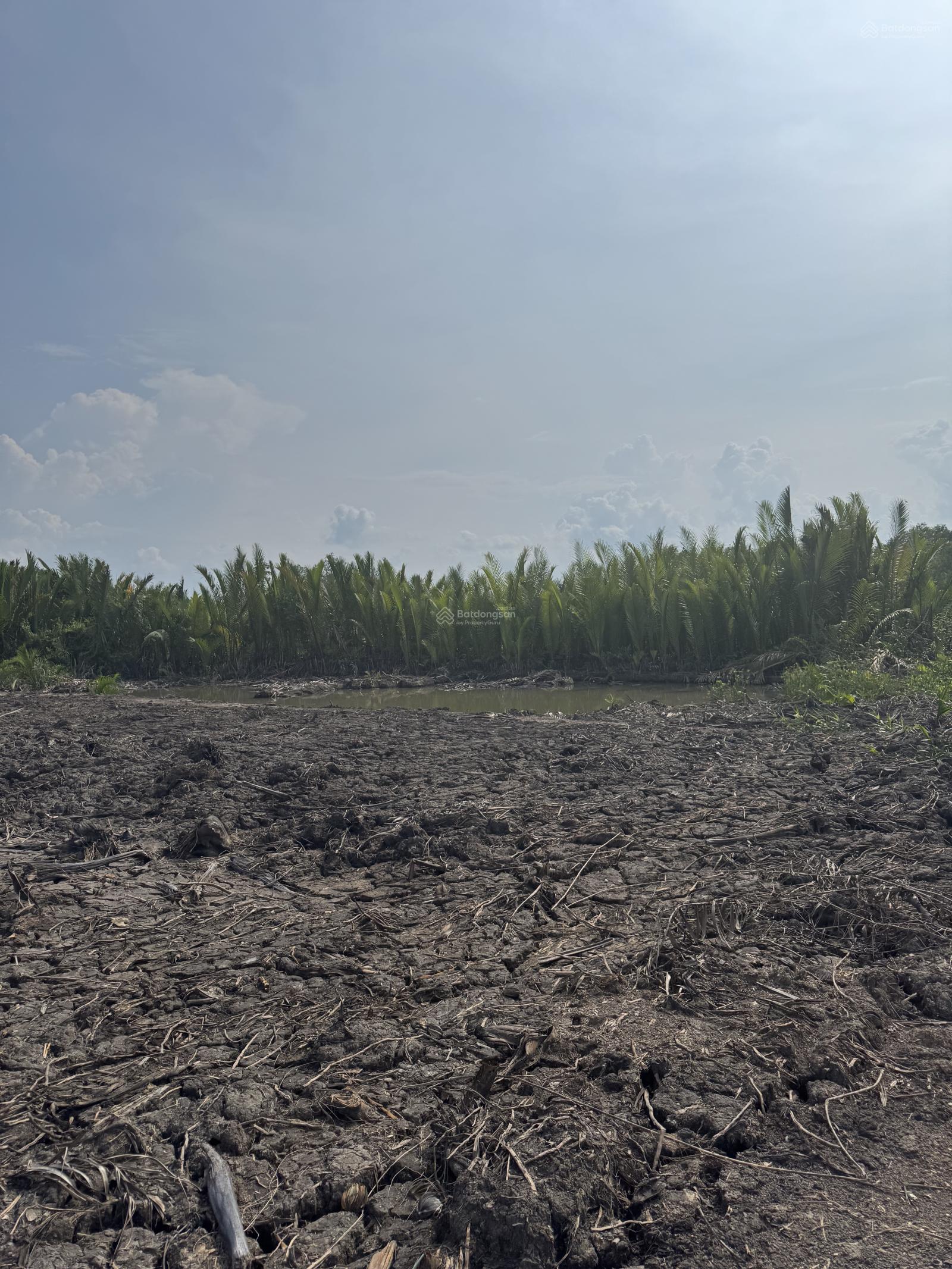 Bán đất siêu hot tại Đường Tam Thôn Hiệp, Cần Giờ, Hồ Chí Minh, 6,2 tỷ, 1000m2 Bán đất siêu hot tại Đường Tam Thôn Hiệp, Cần Giờ, Hồ Chí Minh, 6,2 tỷ, 1000m2