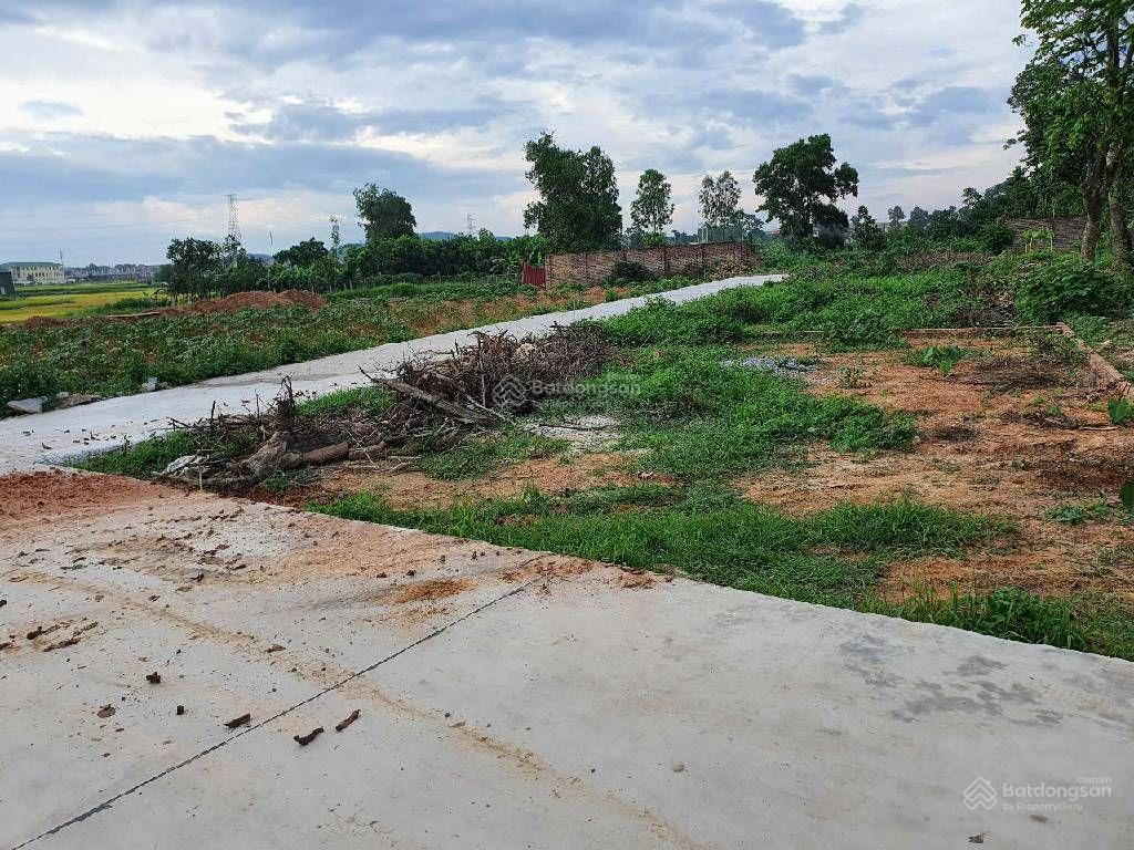 Xóm Cà Phê, Hồng Kỳ, Sóc Sơn. Cách Quốc Lộ 3, chợ Nỷ 1km