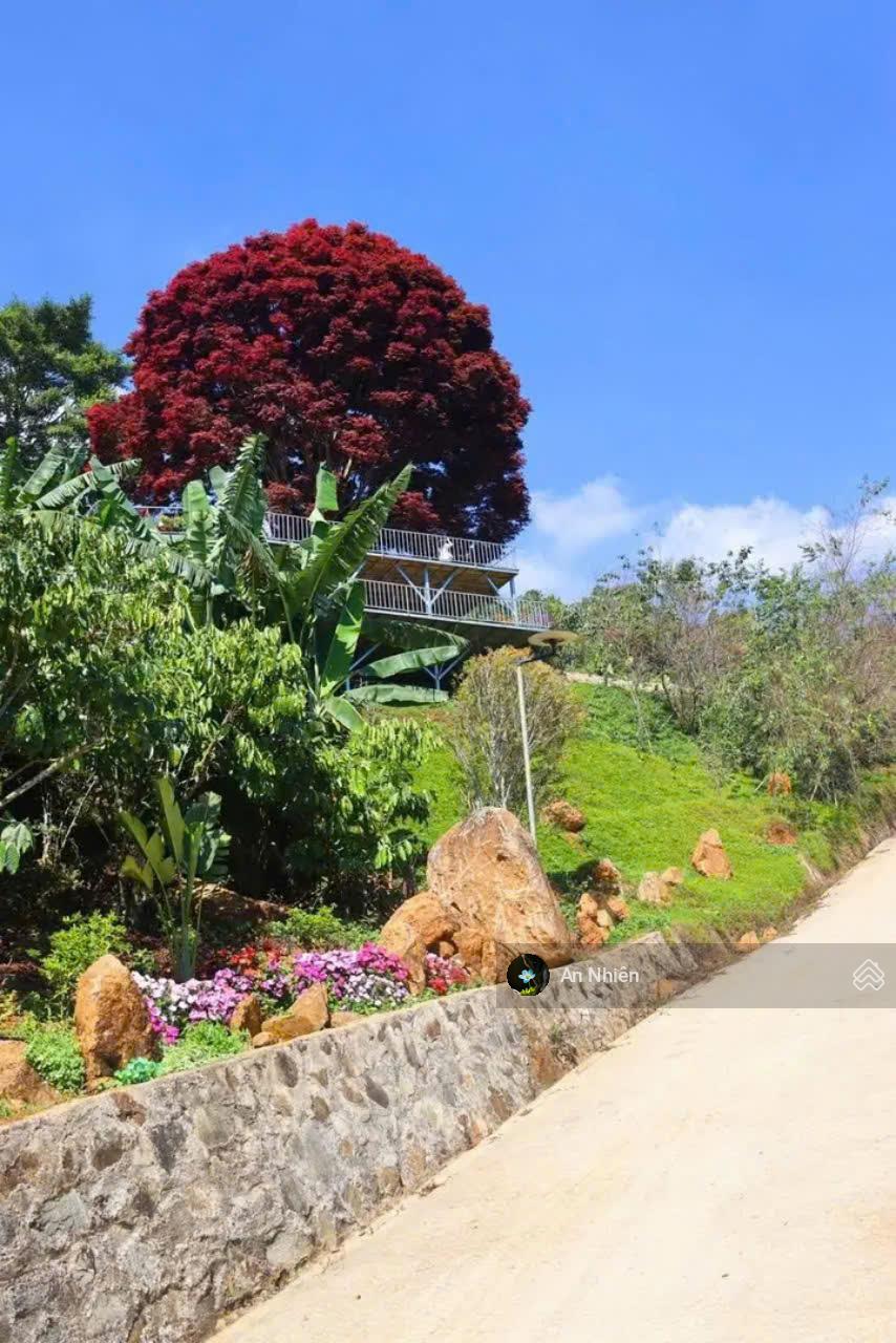 CHÍNH CHỦ BÁN GẤP VƯỜN NGHỈ DƯỠNG 1.200M GIÁ CHỈ 1,2 TỶ TRỌN SỔ VIEW SUỐI, ĐỒI, THUNG LŨNG CỰC ĐẸP