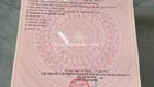 Đất nền phù hợp xây nghỉ dưỡng, phân lô