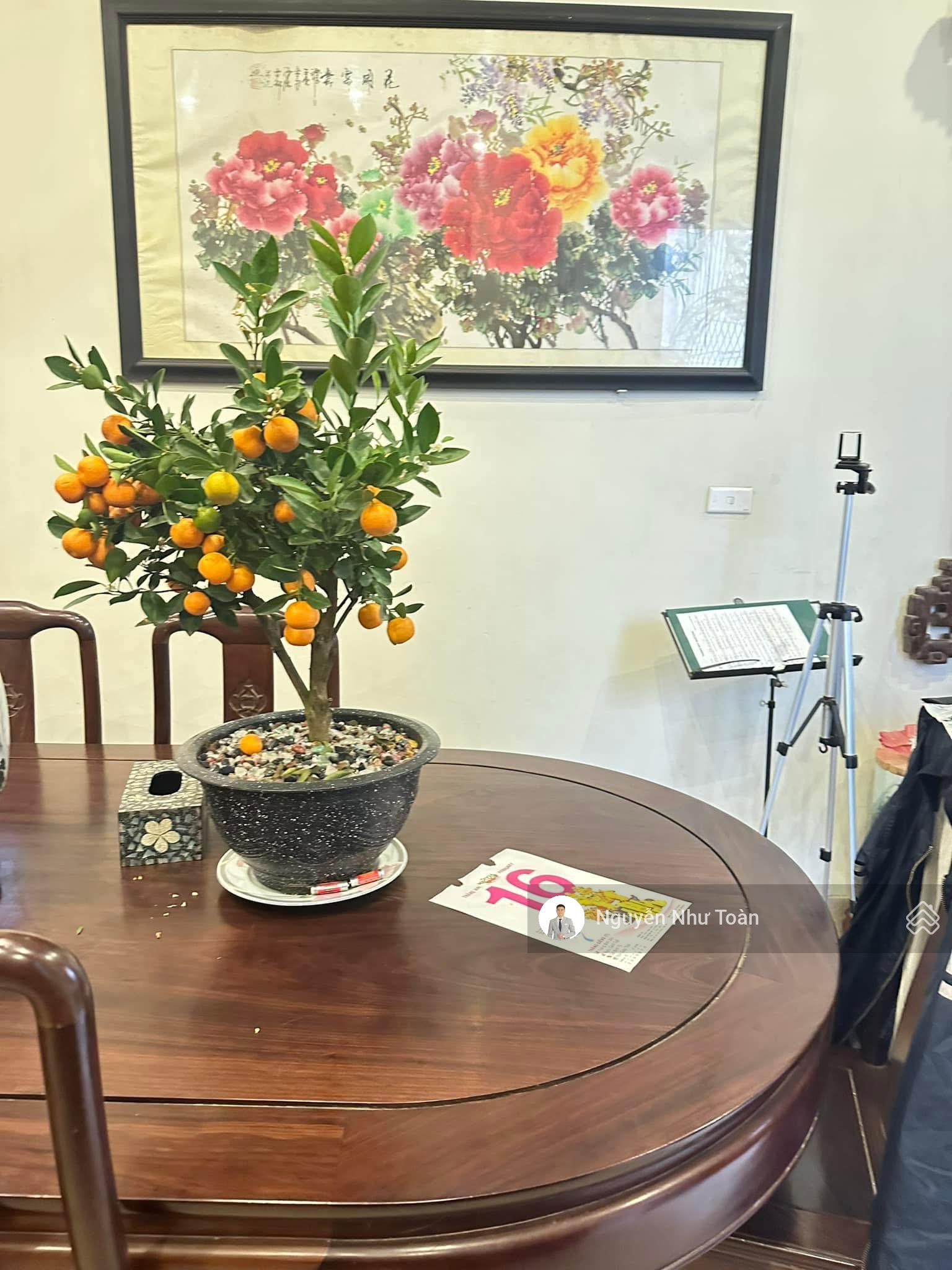 CHỈ 28 TỶ - Nhà Mặt Phố -LÔ GÓC - 82M2, MT 8.5M - Phân Lô Quân Đội - Ô TÔ VÀO - Quan Hoa, Cầu Giấy
