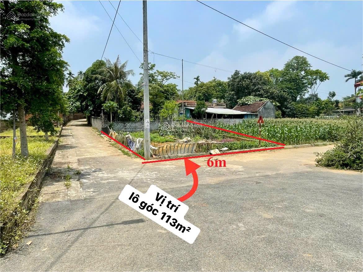 Do làm ăn thua lỗ nên vợ chồng em cần bán nhanh mảnh đất góc 2 MT ở Hà Nội 113m2 sẵn sổ 1,99 tỷ