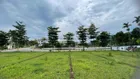 Do làm ăn thua lỗ nên vợ chồng em cần bán nhanh mảnh đất góc 2 MT ở Hà Nội 113m2 sẵn sổ 1,99 tỷ