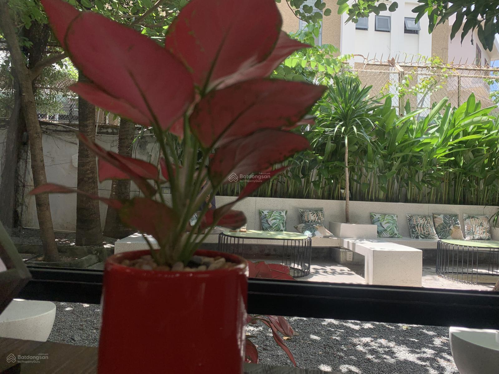 Toà CHDV dòng tiền 1.8 tỷ/năm hẻm 193 Nam Kỳ Khởi Nghĩa, 118m2 HXH, ngang 10m, SĐCC, chỉ 34 tỷ