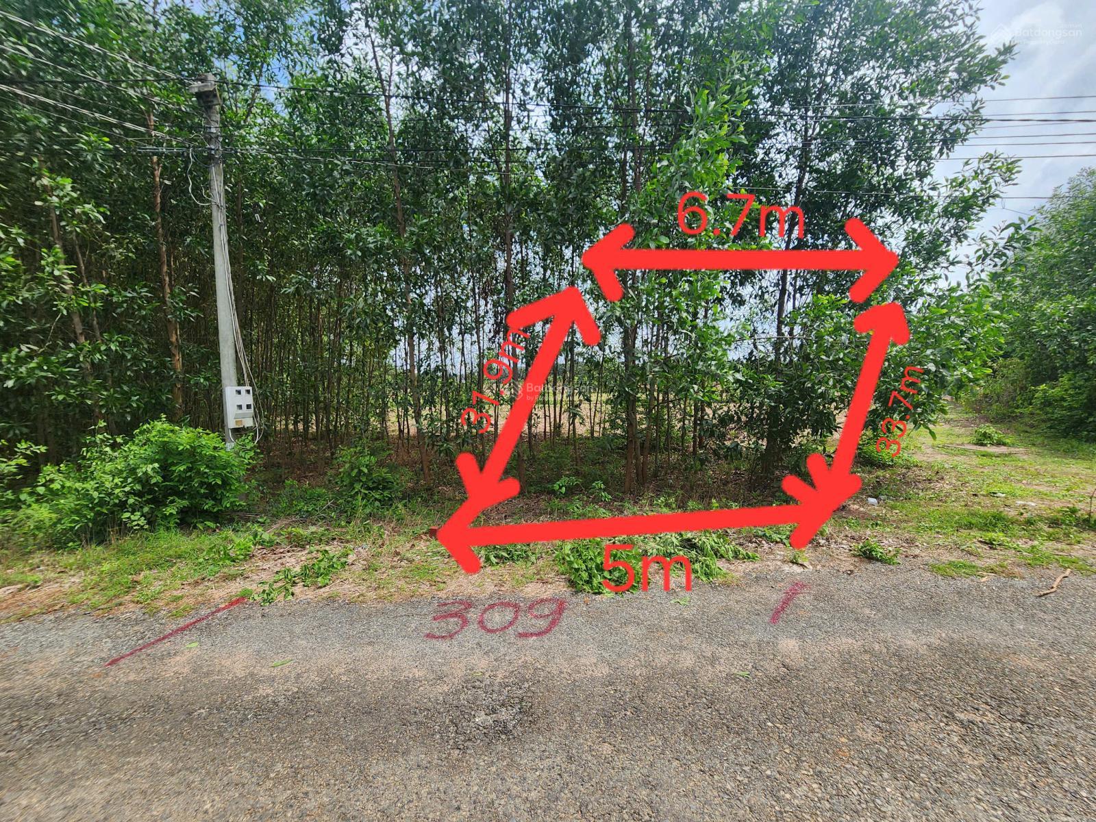 Bán gấp lô đất khá vuông vức, MT nhựa 5m, Hắc Dịch, TP Phú Mỹ, BRVT