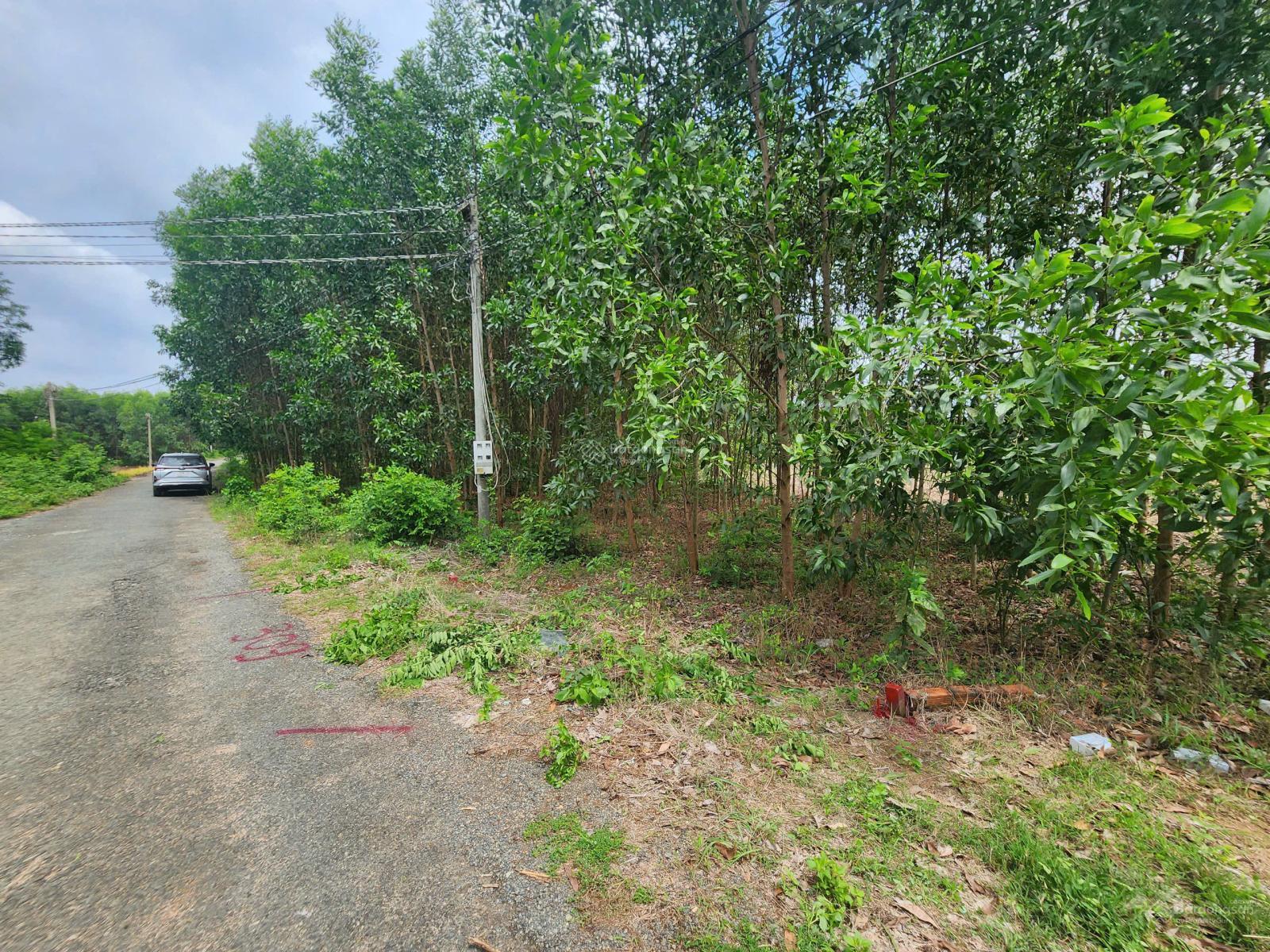 Bán gấp lô đất khá vuông vức, MT nhựa 5m, Hắc Dịch, TP Phú Mỹ, BRVT