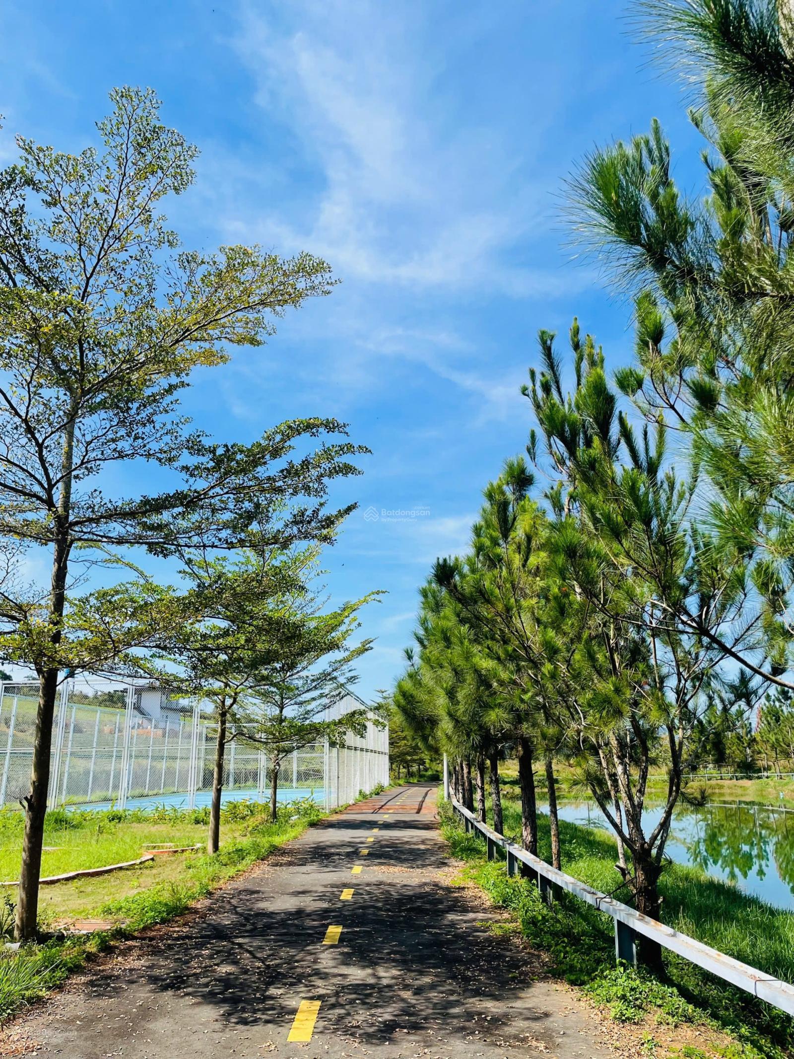 Lô đất 209m2 mặt hồ đẹp tại P2, Bảo Lộc di chuyển lên cao tốc 2km gần trung tâm hành chính 900m SHR