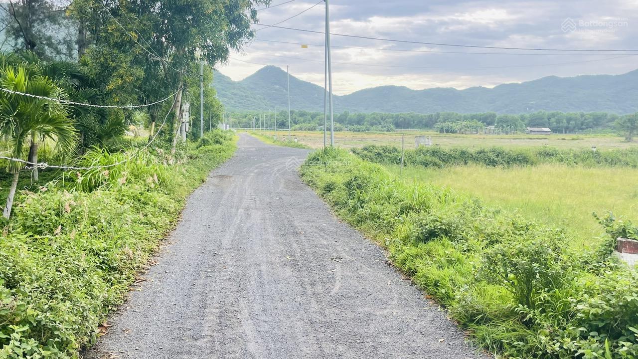 Bán 802m² đất nghỉ dưỡng view núi gần biển Phước Hải, BRVT