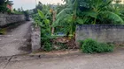 CC gửi bán lô góc 2 mặt thoáng cực đẹp Hòa Thạch Quốc Oai 360,5m2 đất ở 100m2 MT 12,49m giá 7,56 tỷ