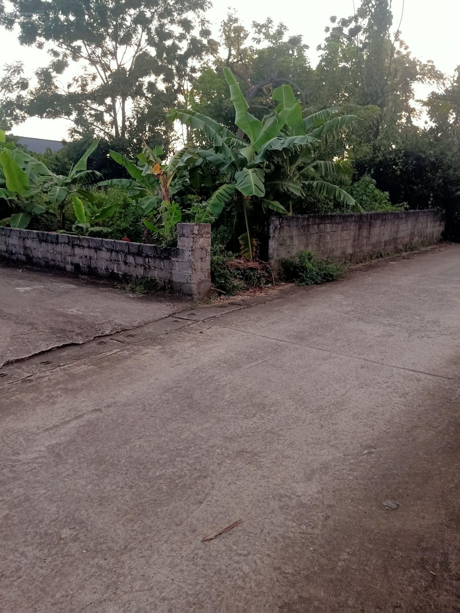 CC gửi bán lô góc 2 mặt thoáng cực đẹp Hòa Thạch Quốc Oai 360,5m2 đất ở 100m2 MT 12,49m giá 7,56 tỷ