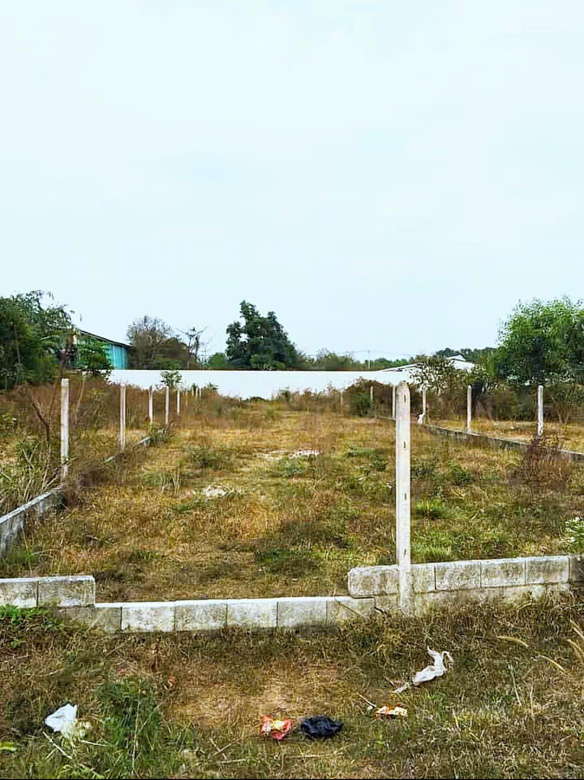 Bán đất SHR mặt tiền Tỉnh Lộ 2 - Trung Lập Hạ, Củ Chi. Khu dân cư đông đúc giá tốt Bán đất SHR mặt tiền Tỉnh Lộ 2 - Trung Lập Hạ, Củ Chi. Khu dân cư đông đúc giá tốt