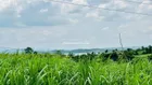 3.1 hecta đất tại xã Cư Prao - M'Đrăk - Đăk Lăk giá 1.450 tỷ