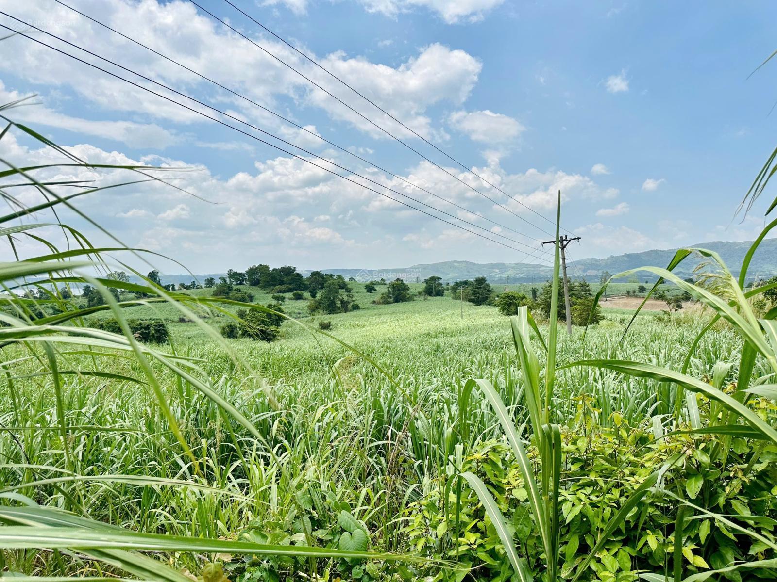 3.1 hecta đất tại xã Cư Prao - M'Đrăk - Đăk Lăk giá 1.450 tỷ