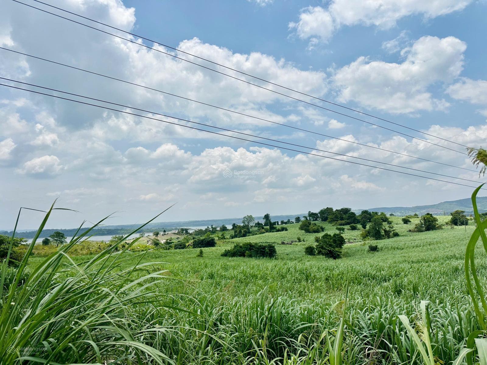 3.1 hecta đất tại xã Cư Prao - M'Đrăk - Đăk Lăk giá 1.450 tỷ