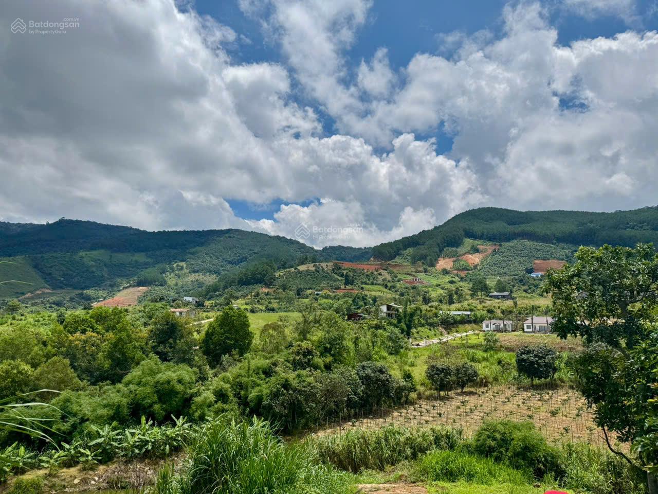 Bán đất xã Nam Ban, Lâm Hà. Giá tốt 550 triệu. Sổ hồng 1026m2. Giáp Suối Cam Ly