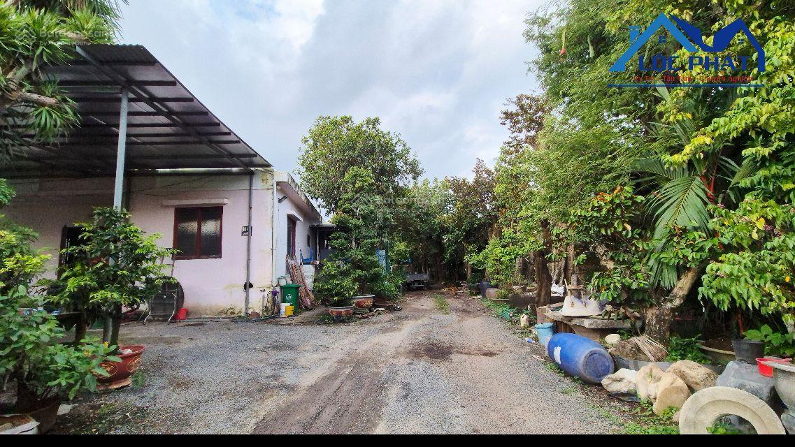 Bán đất mặt tiền đường QL51 tại xã Long An, Long Thành, 3000m2, giá chỉ 32 tỷ