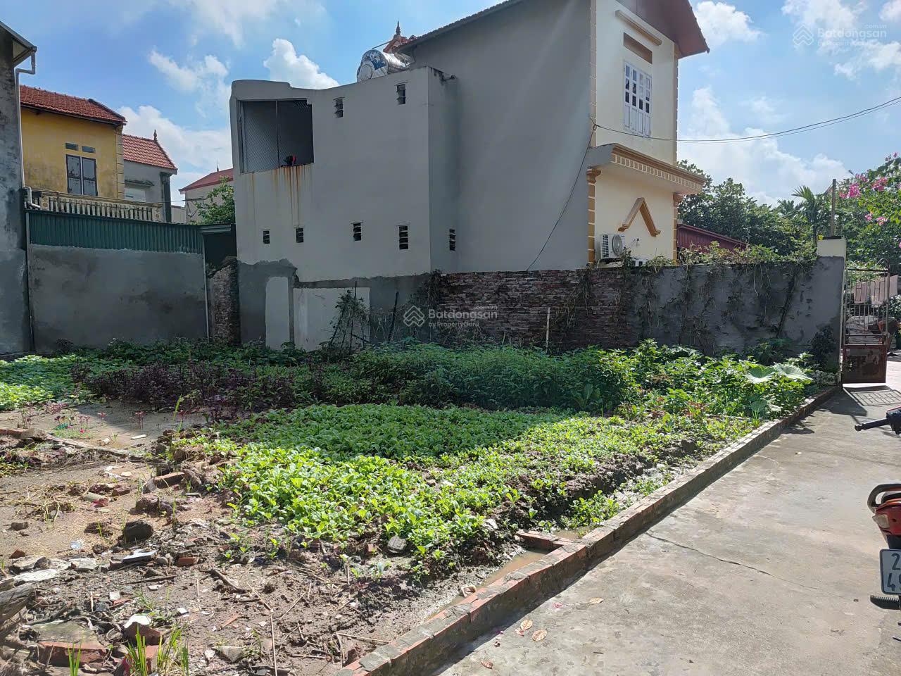 Bán đất thôn Tô Khê Phú Sơn Thuận An Gia Lâm, giá chỉ nhỉnh 3 tỷ