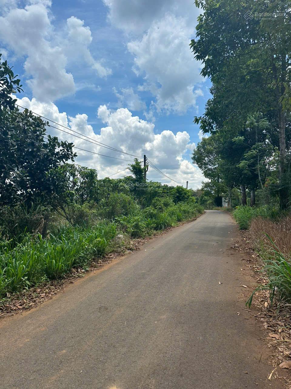 Hiếm! Bán vườn trái cây view suối liền kề cao tốc diện tích lớn: 25.433m2, sẵn 300m2 thổ cư, nở hậu