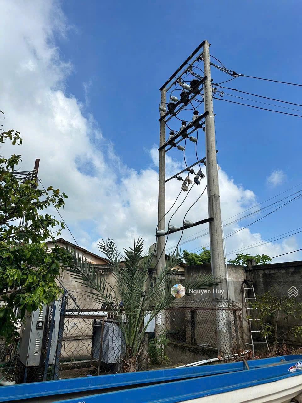 Cho thuê kho xưởng 3000m2, VP 2300m2 tại xã Hướng Thọ Phú, Tân An, Long An, giá ưu đãi 45 nghìn/m2