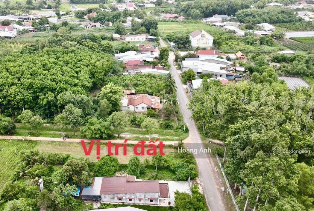 Cần bán lô đất 300m2 full thổ, 550 triệu sát khu công nghiệp Trảng Bàng