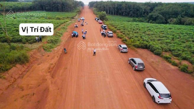 Bán mặt tiền đường xuyên tâm đa dạng điện tích và đang dạng giá. LH: 0933 285 ***