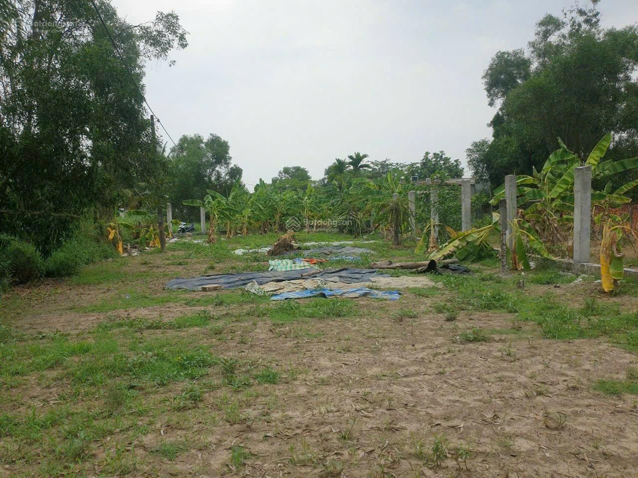 Lô này phân lô quá đẹp mà giá lại rẻ ạ 1.455m2 tách được hơn 10 lô