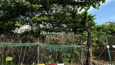Bán gấp lô đất hẻm xe hơi đường số 12, Trần Não, Phường An Khánh, Quận 2, giá chỉ 45 tỷ