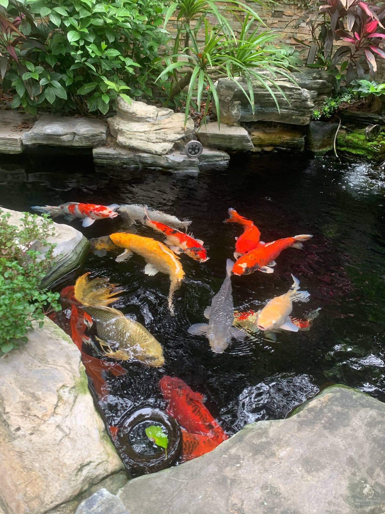 Chính chủ gửi bán BT đơn lập view hồ siêu rẻ tại Vinhomes Thăng Long Chính chủ gửi bán BT đơn lập view hồ siêu rẻ tại Vinhomes Thăng Long