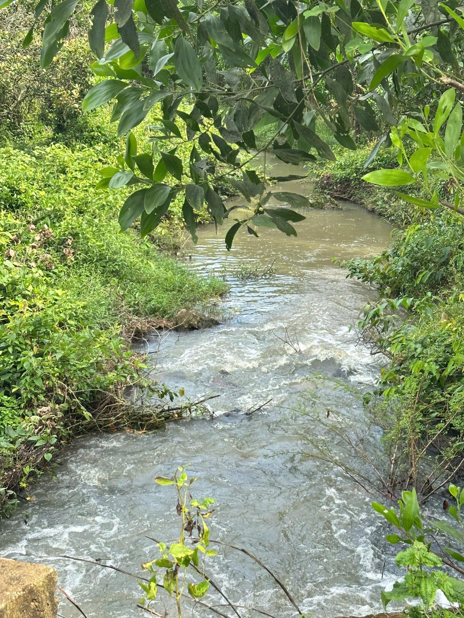 Hoà Bình Xuyên Mộc sát đường 56 diện tích 5sào7 có hai mặt tiền trước sau đường nhựa giá quá rẻ