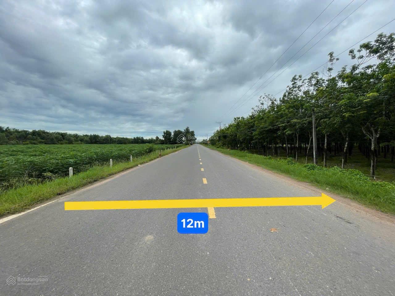 Đất 2400m2 ngang 60m mặt tiền đường ĐT 781 tại Xã Thành Long, Huyện Châu Thành, Tỉnh Tây Ninh