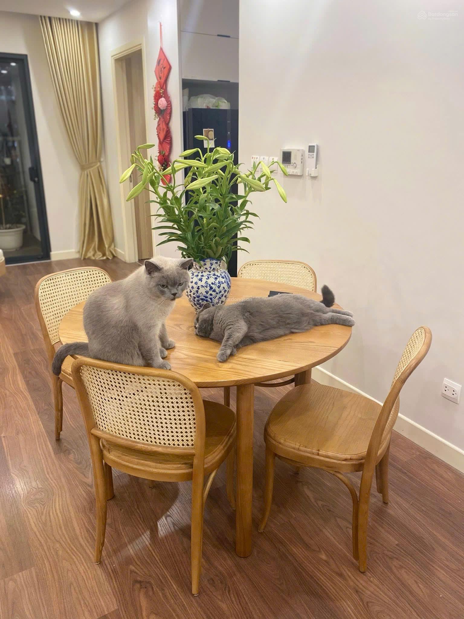 Chính chủ bán căn 70m2, 2PN 2WC tại Imperia Garden, tầng đẹp, view thoáng, full đồ, sổ đỏ, giá 8 tỷ