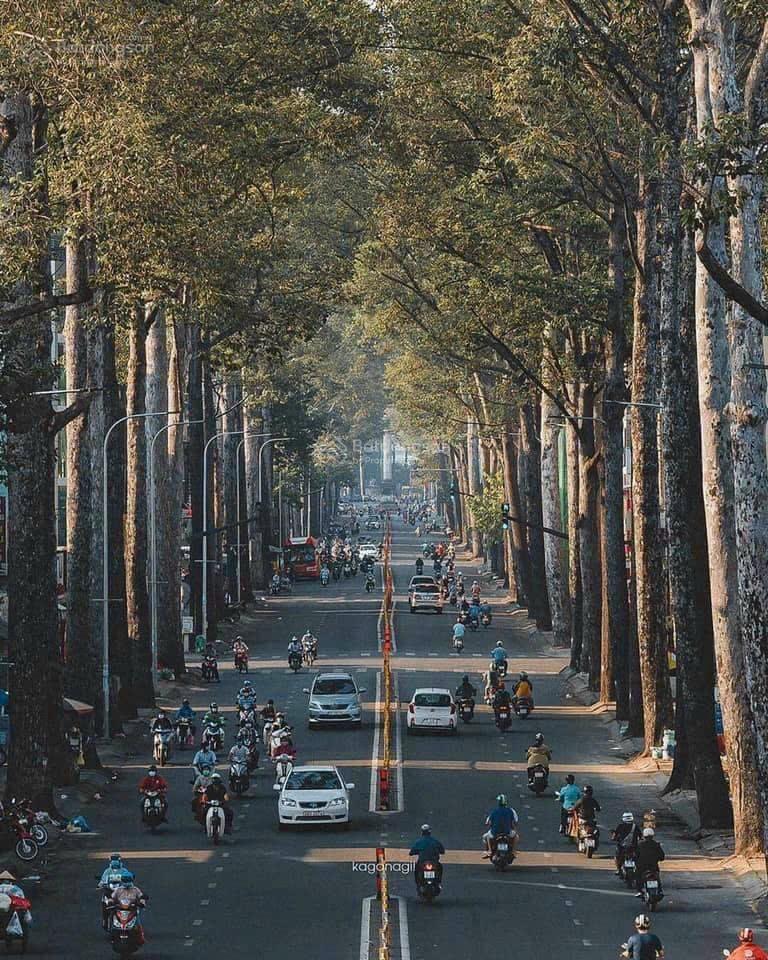 Mặt Tiền Nguyễn Chí Thanh, Phường 7, Quận 10, DT: 8,2m X 27,5m DTCN 219m, giá 73.8 tỷ