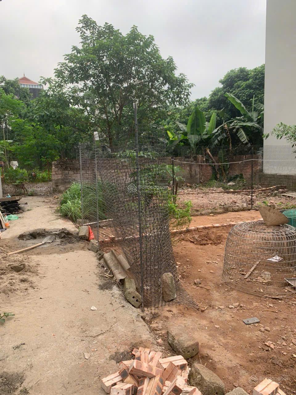 Bán đất Phượng Đồng 46.6m2, cách trục chính 50m, giá rẻ nhất chợ