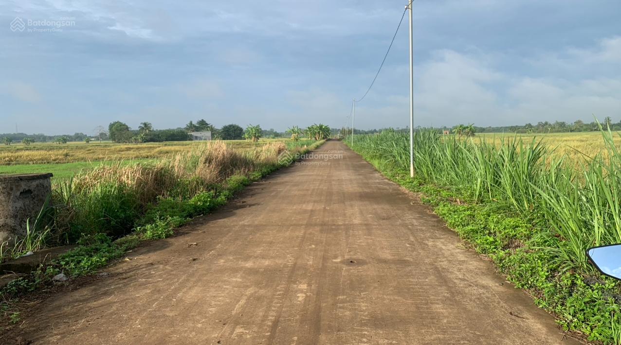 Bán 1500m2 Sông Thao sổ riêng giá 790 triệu cực rẻ rẻ rẻ