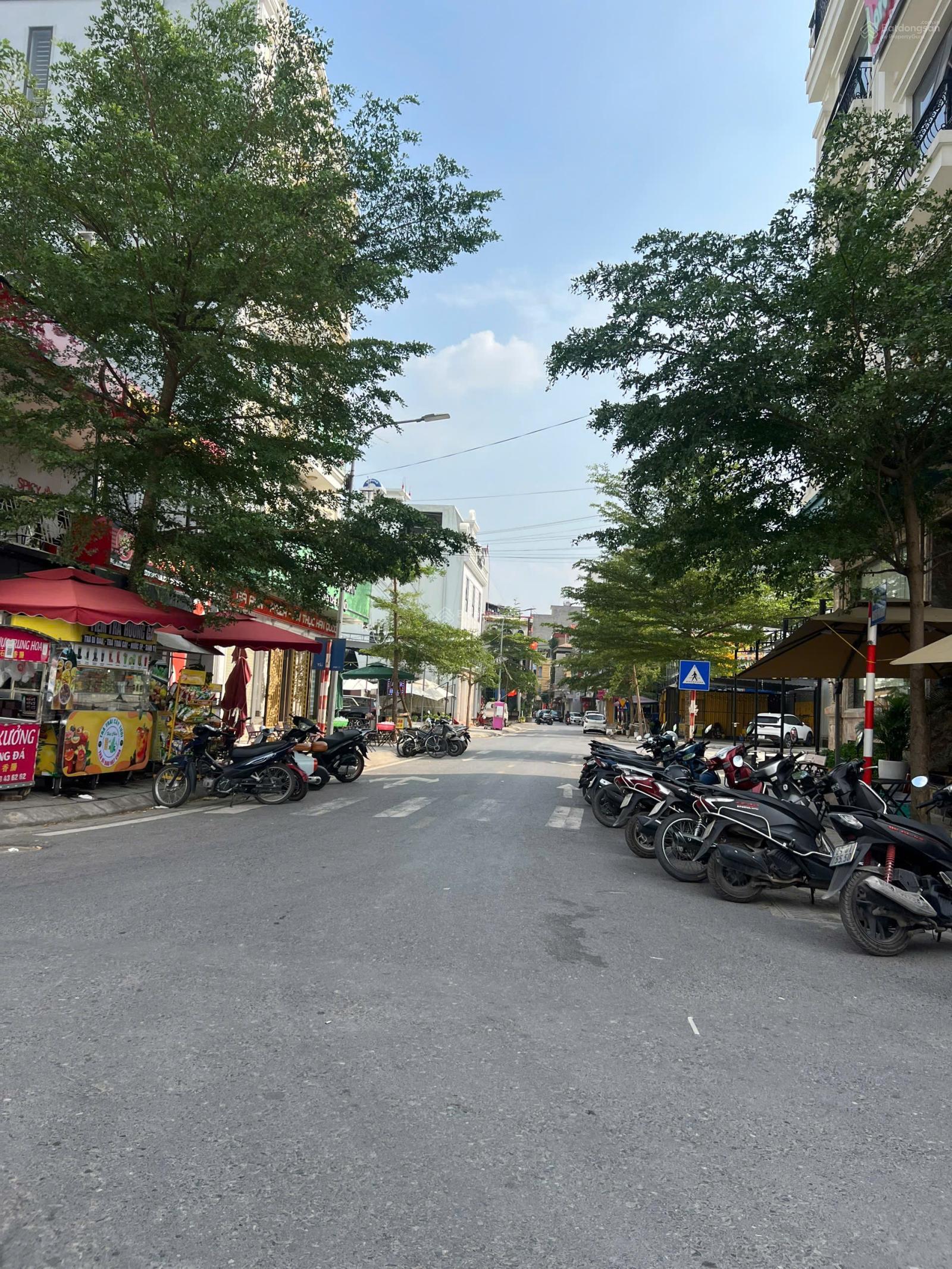 80m2 Đất mặt phố Lý Tử Tấn rộng 33m, cạnh HIMLAM 2, vỉa hè 5M, Kinh Doanh đắc địa