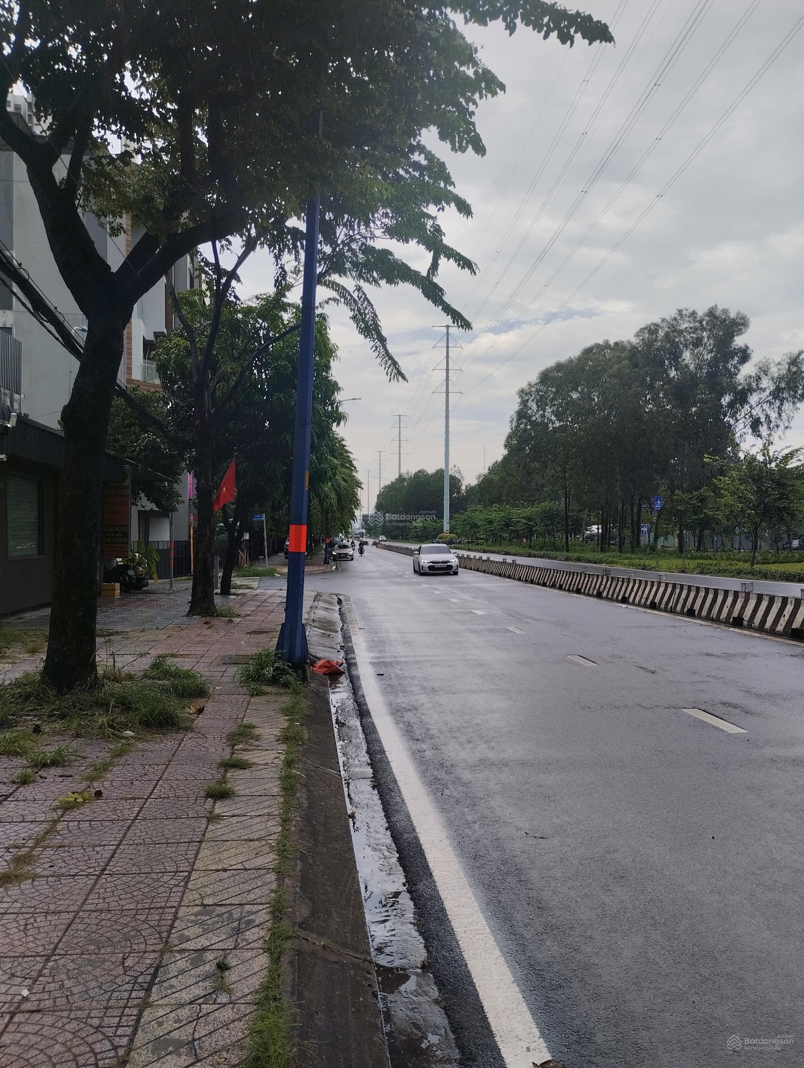 Bán đất dự án Huy Hoàng mặt tiền đường Đồng Văn Cống, diện tích 10x22m6, giá bán 255tr/m2