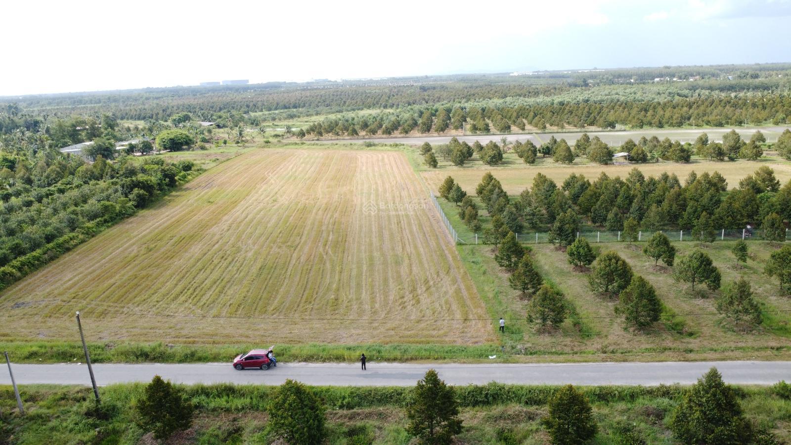 7000m2, Đất xây trọ, kho xưởng, nhà hàng, khách sạn gần KCN Phước Đông, Tây Ninh