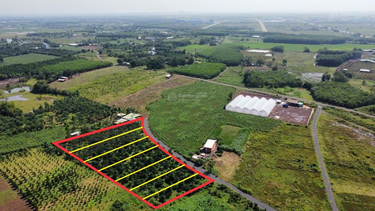 Lô đất đẹp ngay đường ĐT 52, thị trấn Đất Đỏ, Bà Rịa Vũng Tàu giá chỉ 1,8 tỷ