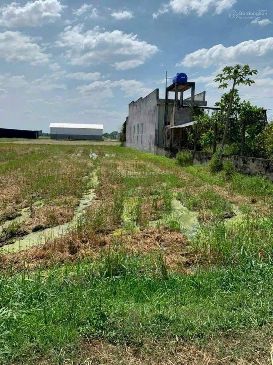 Ngộp bán lỗ 250tr Đức Hoà Đông sát 823D và Kcn Nam Thuận Dt 5x22m giá 999tr