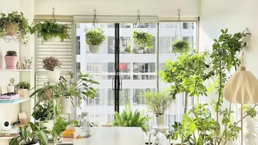 Bán căn 2 ngủ, chung cư 90 Nguyễn Tuân (gần đại học KHTN), sẵn sổ, có slot ô tô, 6,8 tỷ