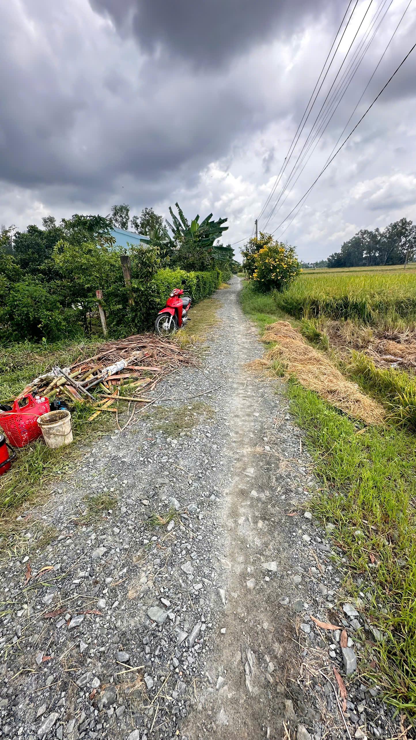 Bán đất thổ cư xã Phước Tuy -Cần Đước - Long An cũ giá 820 triệu